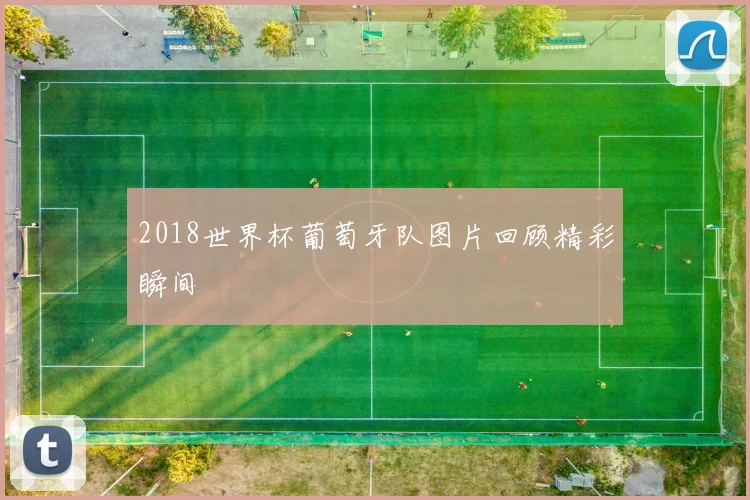 2018世界杯葡萄牙队图片回顾精彩瞬间